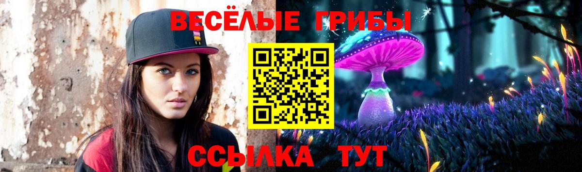 Хабаровск  Псилоцибиновые грибы Magic Shrooms  купить наркоту  Вход с VPN 